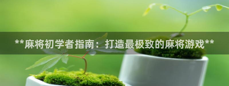 沐鸣娱乐2官方网站