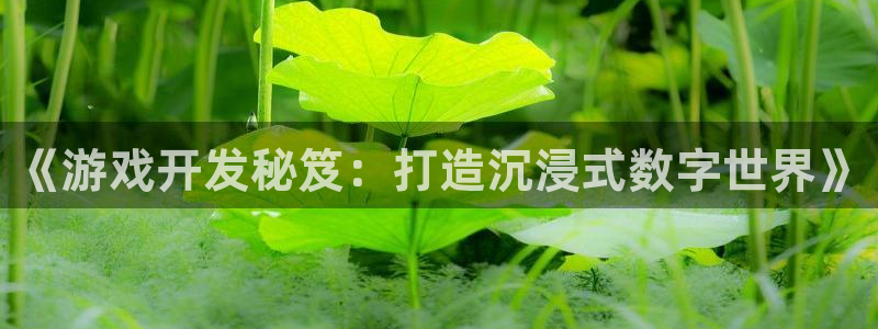 沐鸣2平台登录线路