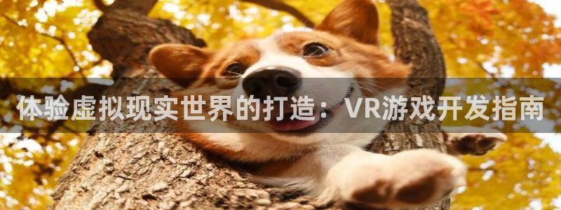 沐鸣娱乐2官网