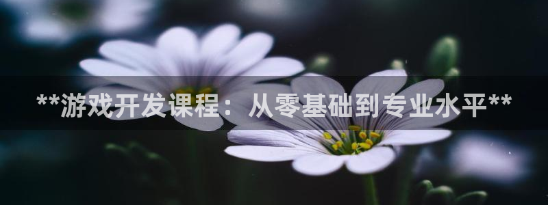 沐鸣2代理