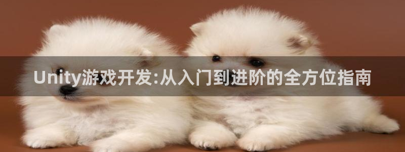 沐鸣2挂机注册：Unity游戏开发:从入门到进阶的全方位指南