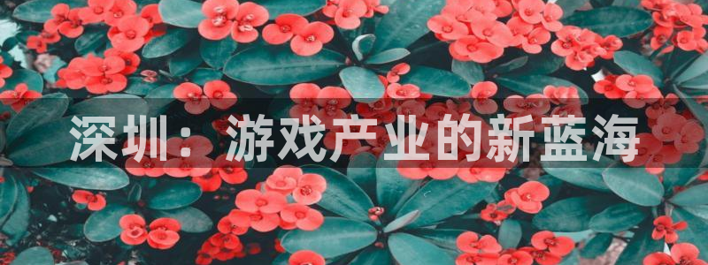 沐鸣2娱乐平台登录客服：深圳：游戏产业的新蓝海