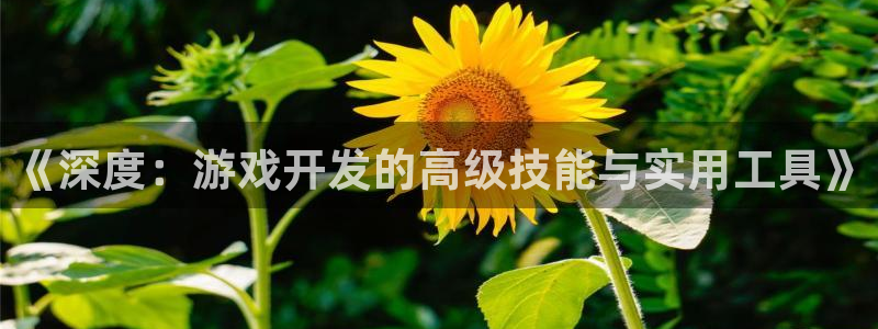 沐鸣娱乐2电脑版：《深度：游戏开发的高级技能与实用工具》