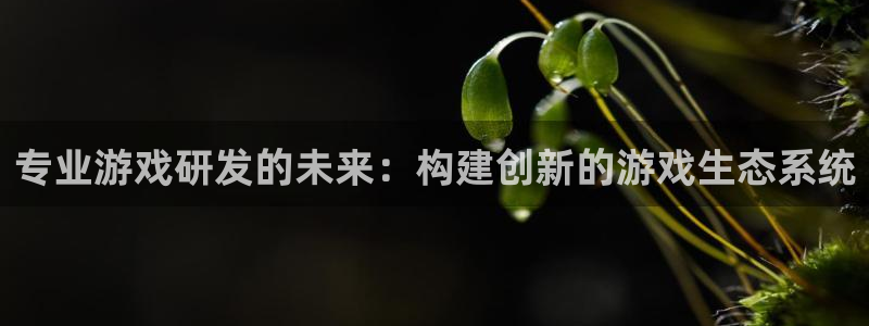 沐鸣娱乐2的分分彩：专业游戏研发的未来：构建创新的游戏生态系统