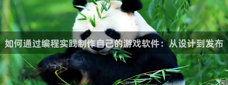 沐鸣娱乐2在线注册：如何通过编程实践制作自己的游戏软件：从设计到发布