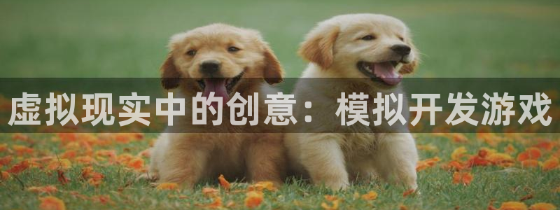 沐鸣2娱乐注册平台：虚拟现实中的创意：模拟开发游戏