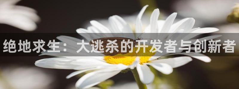 沐鸣娱乐2黑客户吗：绝地求生：大逃杀的开发者与创新者