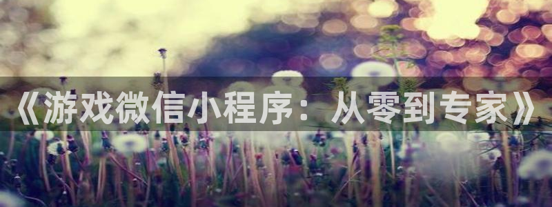 沐鸣娱乐2是正规平台么：《游戏微信小程序：从零到专家》