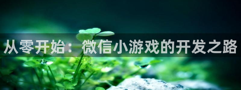 沐鸣2平台招商：从零开始：微信小游戏的开发之路