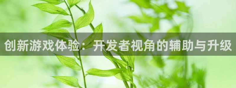 沐鸣娱乐2登录平台是什么软件：创新游戏体验：开发者视角的辅助与升级