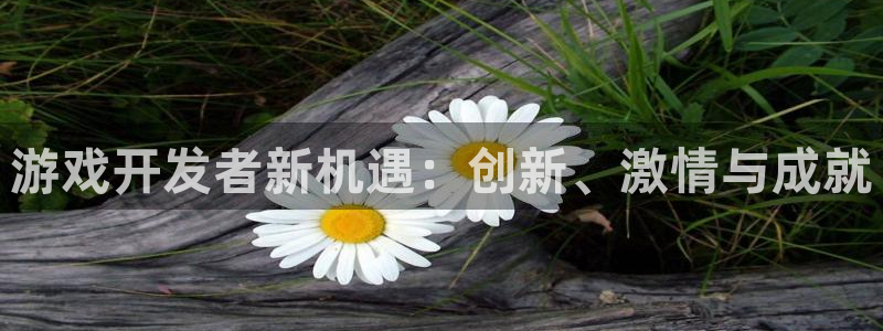 沐鸣娱乐2官方平台是什么：游戏开发者新机遇：创新、激情与成就
