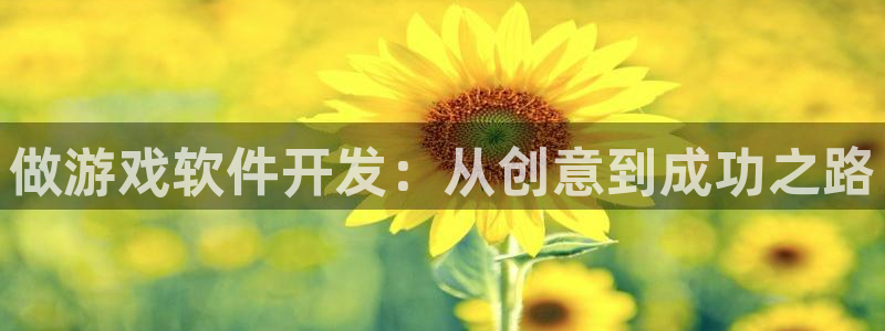 沐鸣代理22927：做游戏软件开发：从创意到成功之路