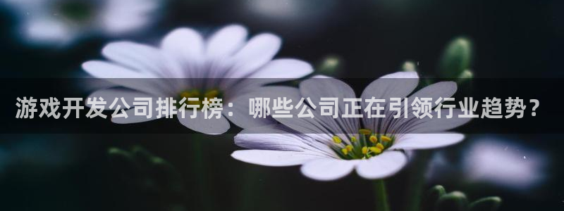 沐鸣2平台负责人：游戏开发公司排行榜：哪些公司正在引领行业趋势？