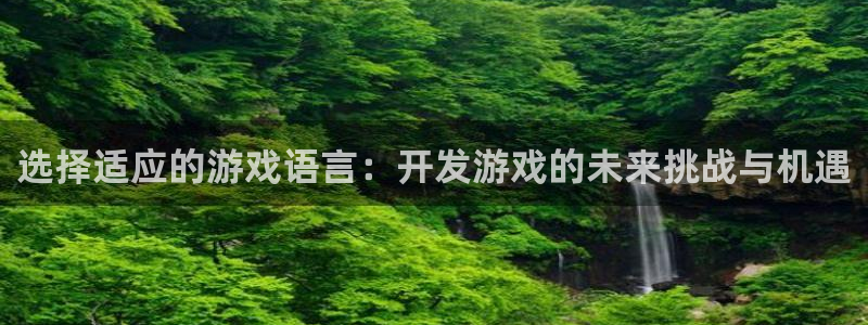 沐鸣娱乐2注册平台：选择适应的游戏语言：开发游戏的未来挑战与机遇