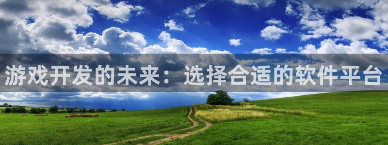 沐鸣2注册登陆：游戏开发的未来：选择合适的软件平台