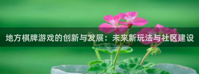 沐鸣2注册登录：地方棋牌游戏的创新与发展：未来新玩法与社区建设
