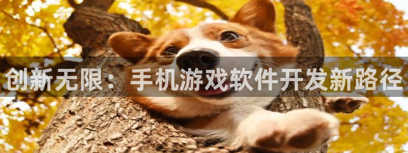沐鸣2多少年：创新无限：手机游戏软件开发新路径