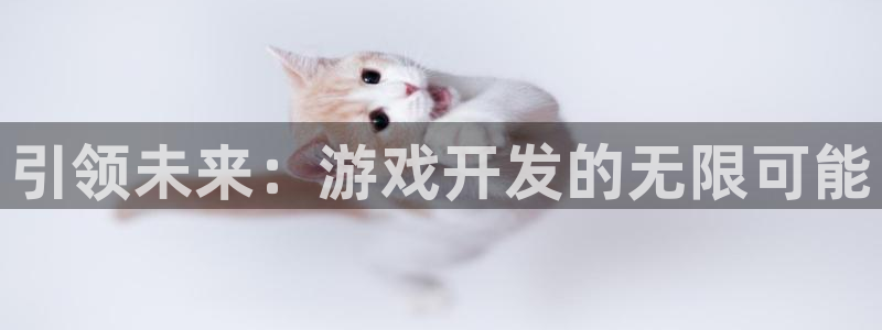 沐鸣娱乐2在线登录：引领未来：游戏开发的无限可能