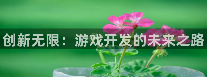 沐鸣娱乐2官网：创新无限：游戏开发的未来之路